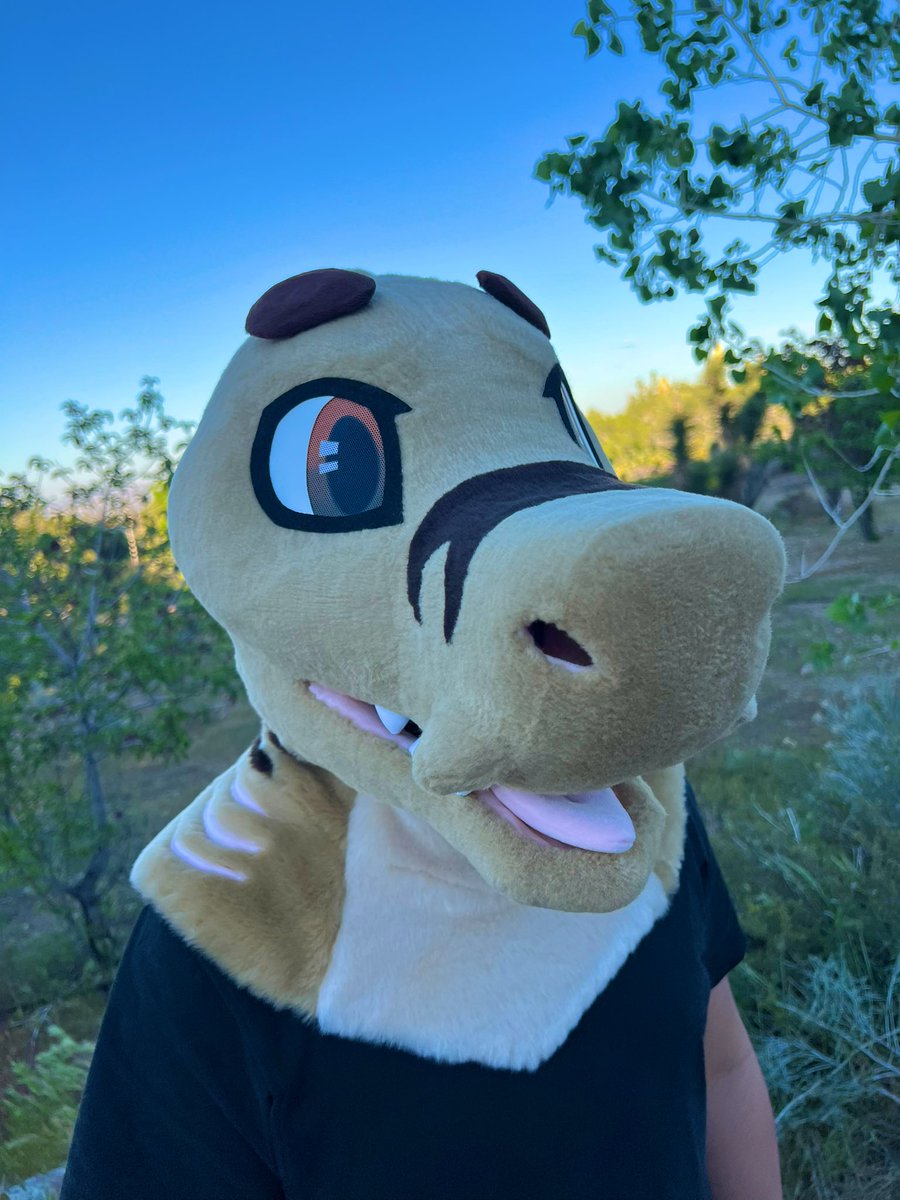 Bodozo 🇵🇸 tweet media