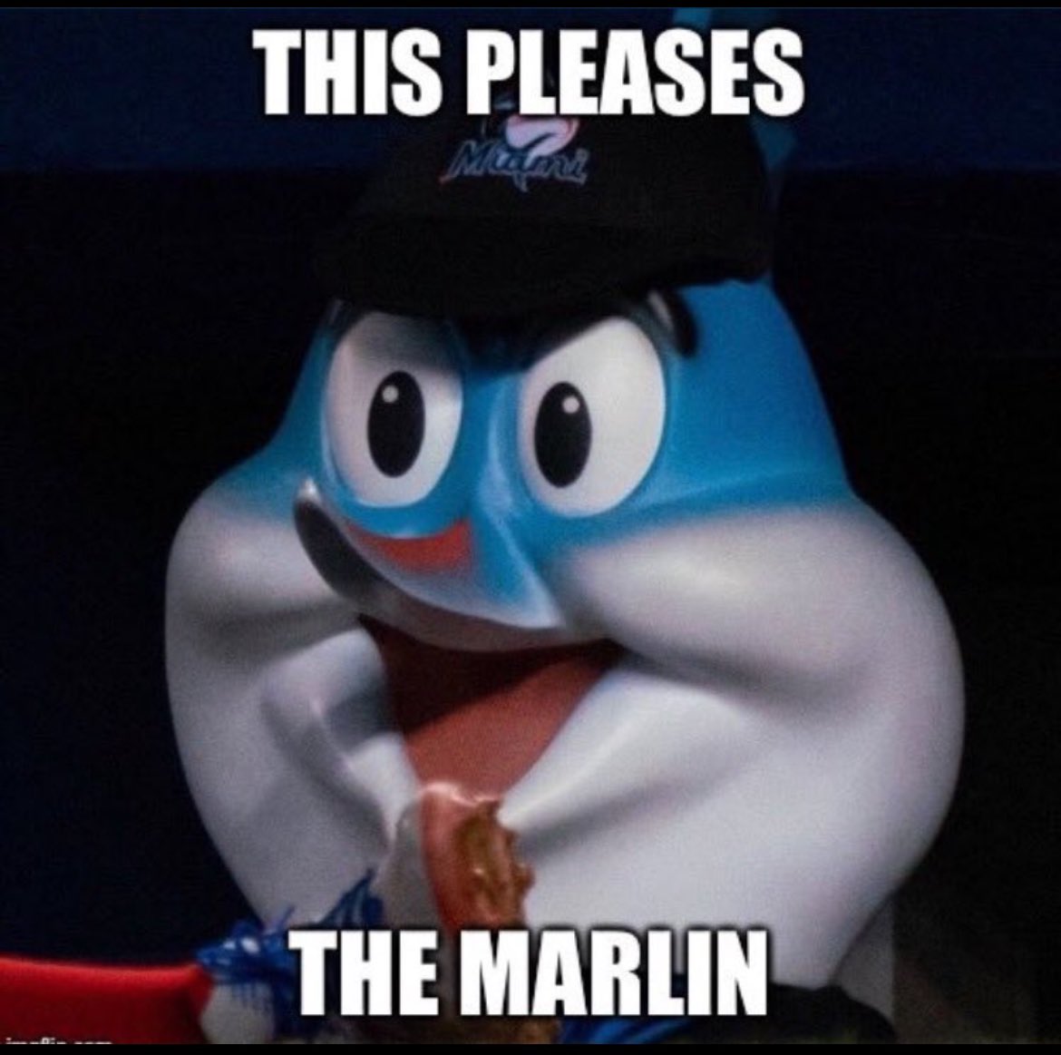 Hackerboy 🇵🇷🐝 tweet media