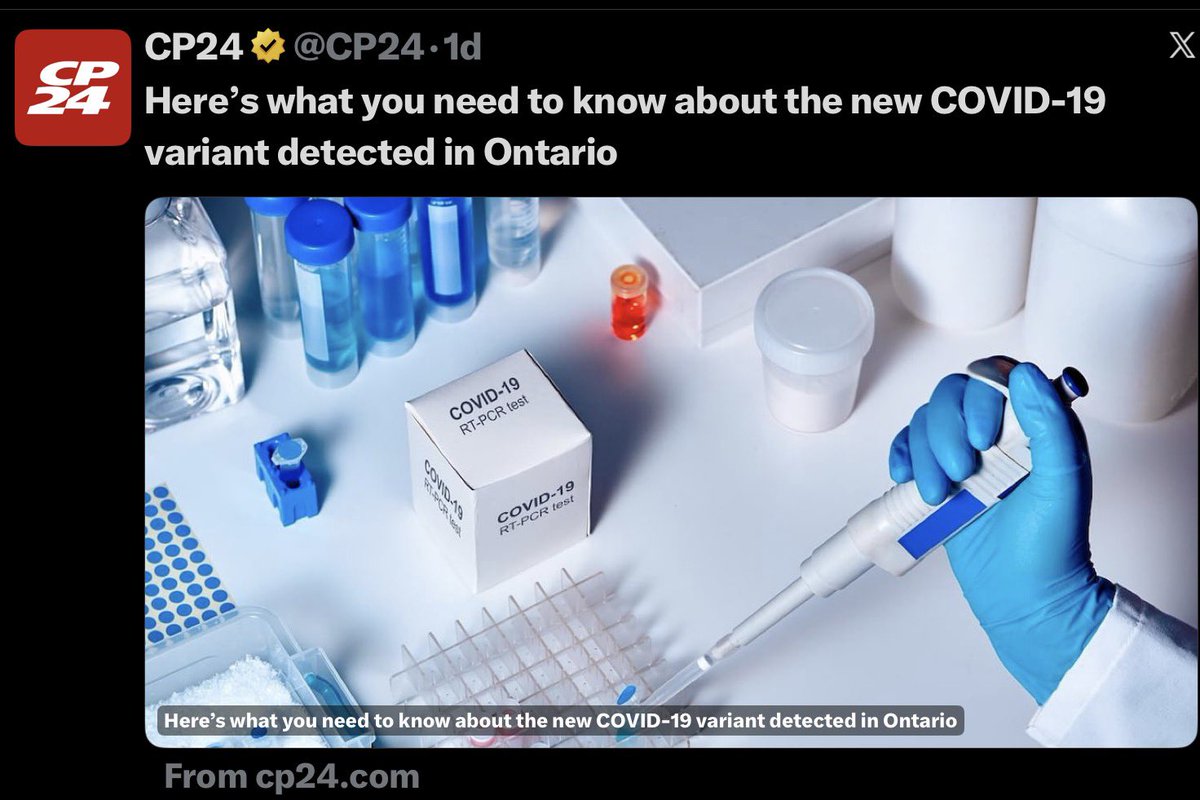 Christine 🌻 Guenter tweet media