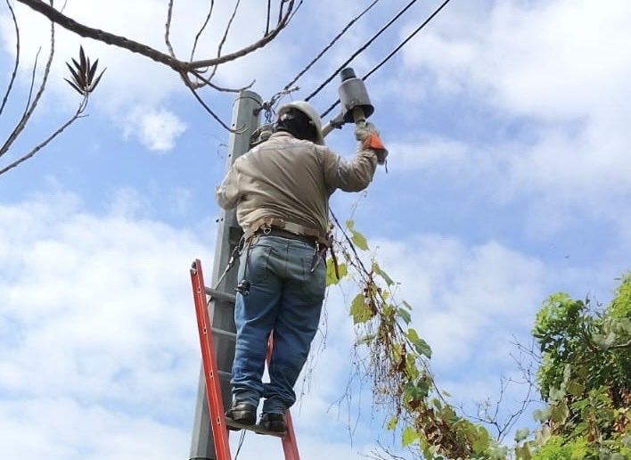 Alcaldía La Libertad Sur tweet media