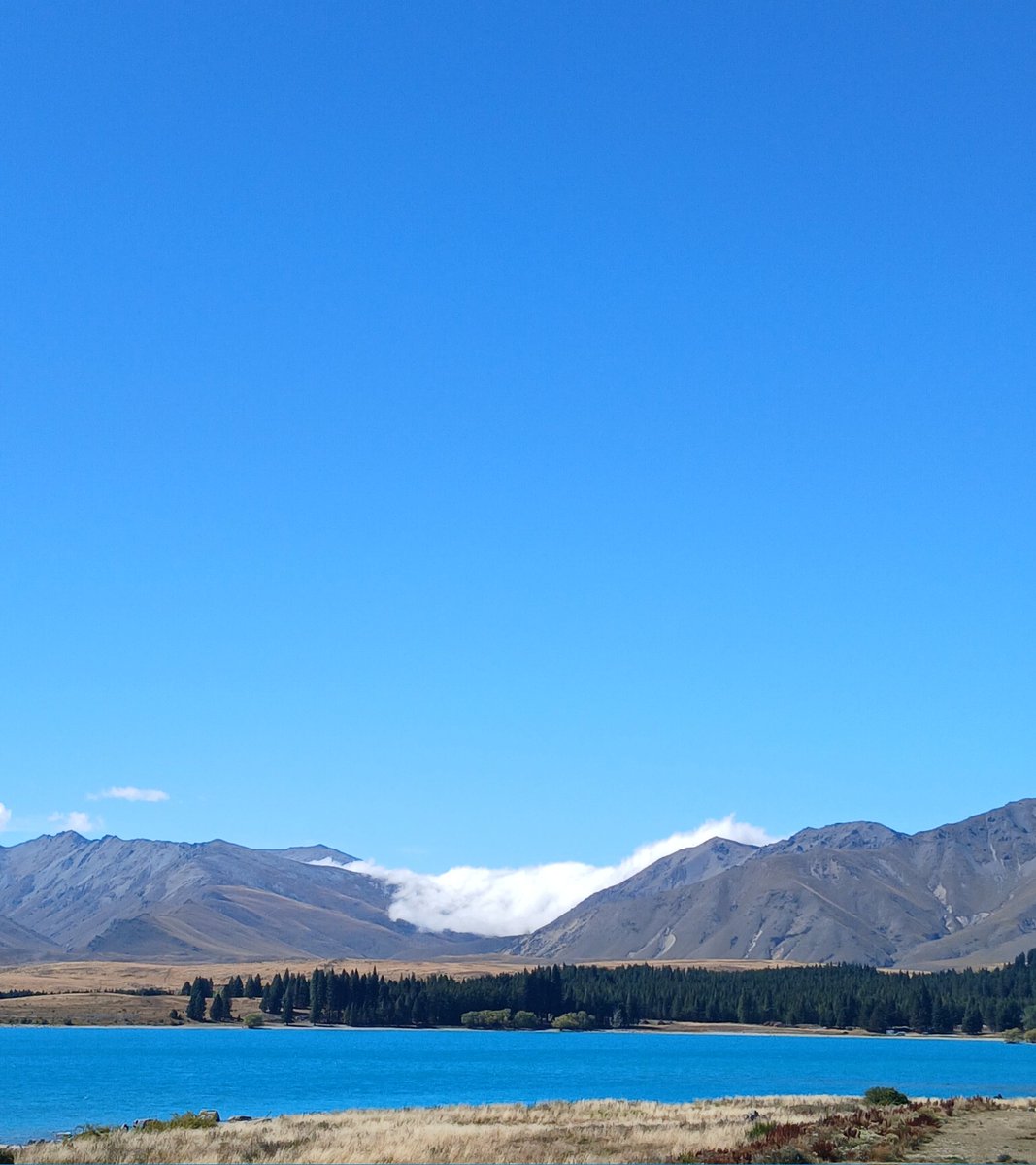 Early Aotearoa New Zealand (@ZealandEarly) / Posts / X