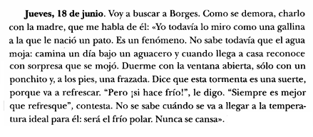 Ladrón de sábado tweet media