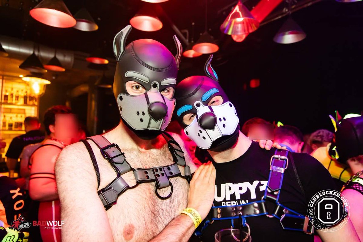 SwitchySoutherner 🔜 Animalz tweet media