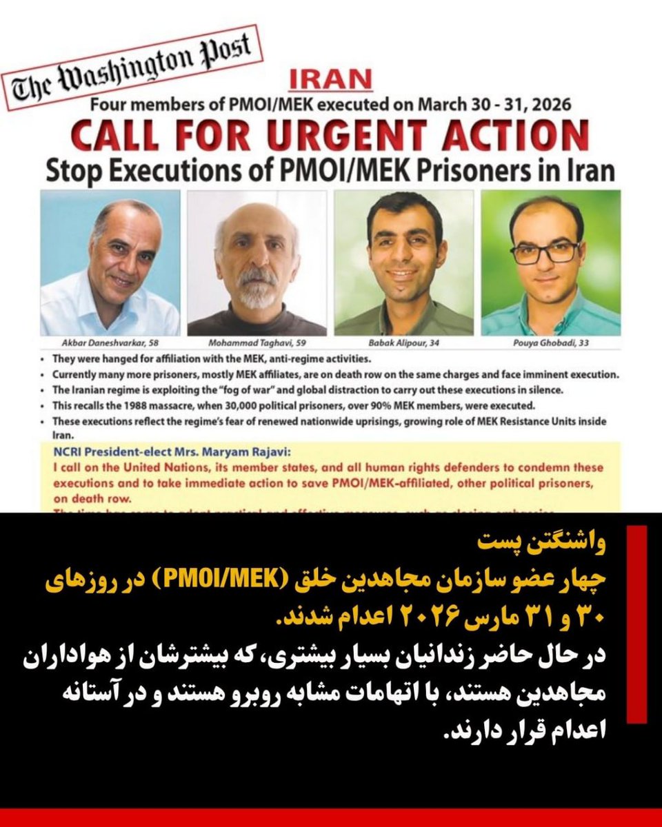 ava habibi tweet media