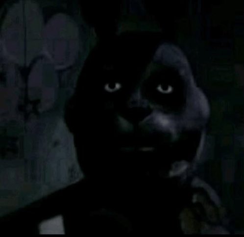 𝘿𝙊𝙊𝙍𝙎 𝙈𝘾 tweet media