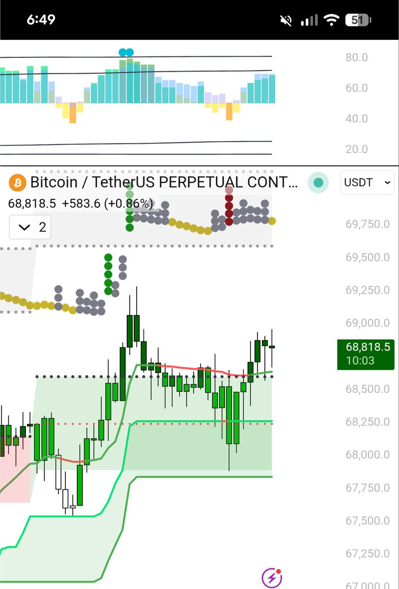 AlienAlgo tweet media