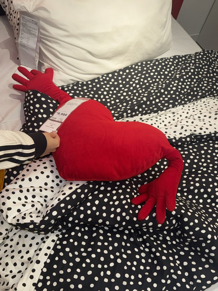 가많이 tweet media