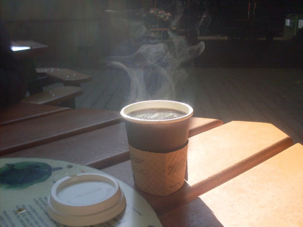 ✒️ 𝕴𝖓𝖐 tweet media