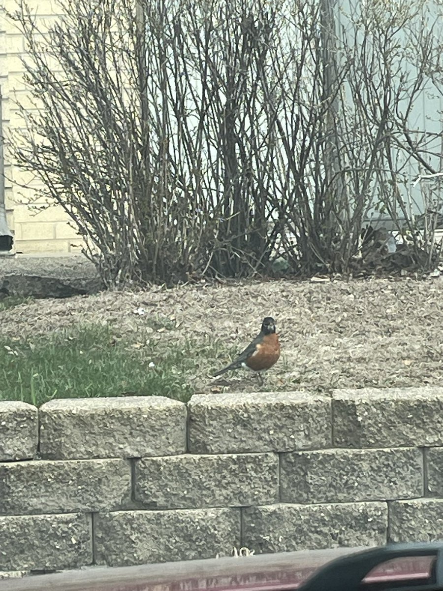 Andrew Dukowitz tweet media