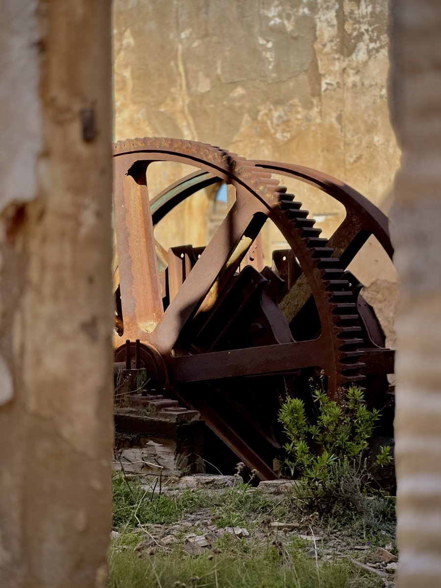 Lord Yisus🍂💜 tweet media