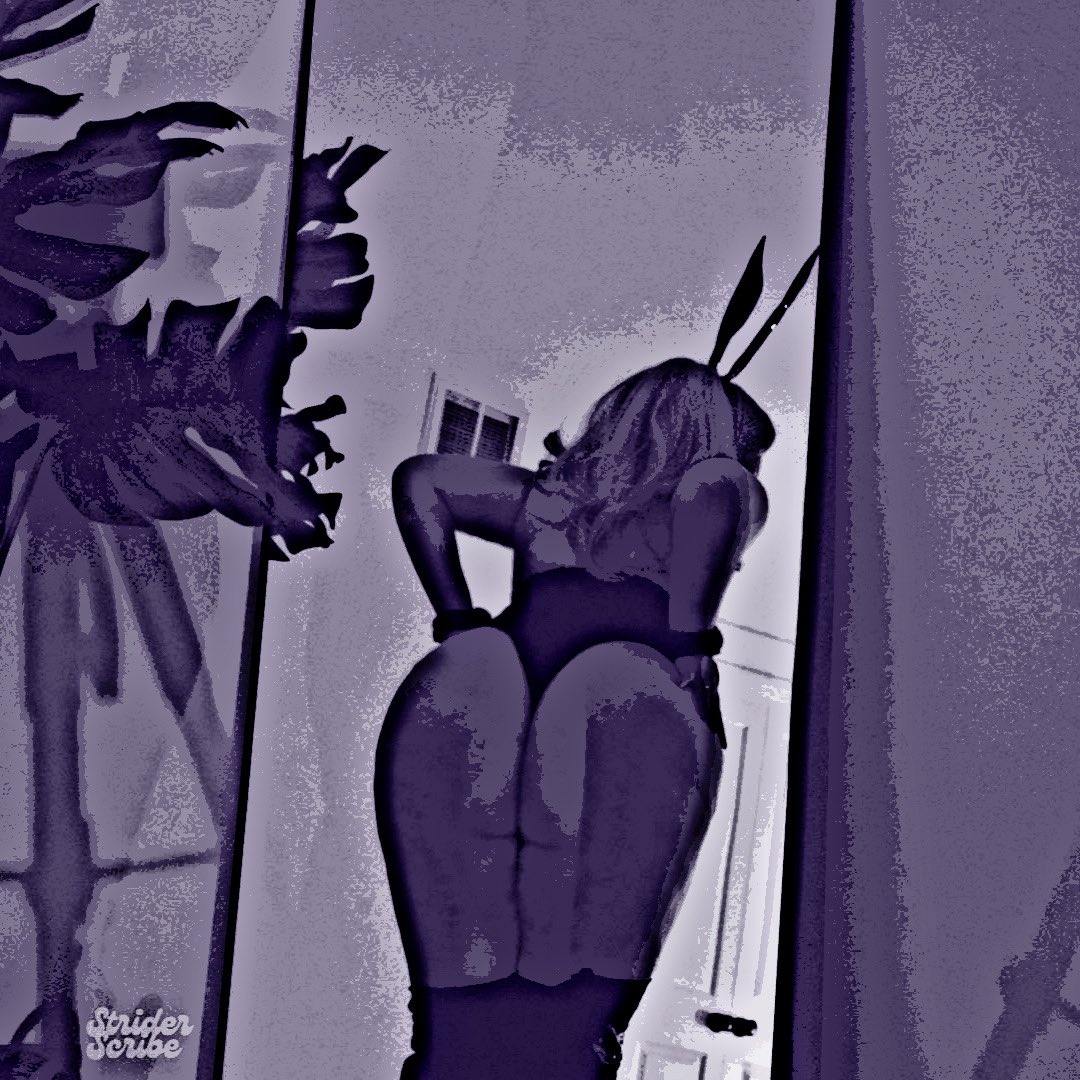 𝓐𝐮𝒓𝖊𝙡𝓲𝐚 . tweet media