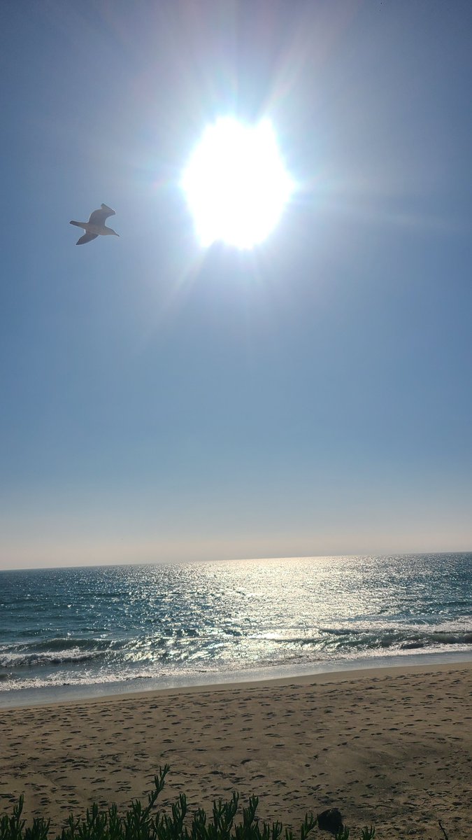 ramblefire's tweet photo. Malibu 🌞 https://t.co/tdcrtVYE63