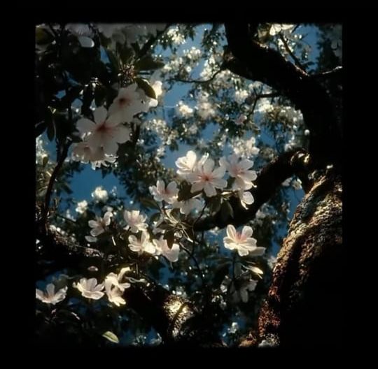 VoidVista tweet media