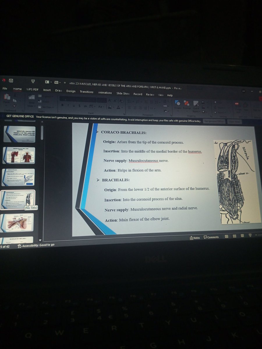 Waleeed🧑‍💻♟️📚 tweet media