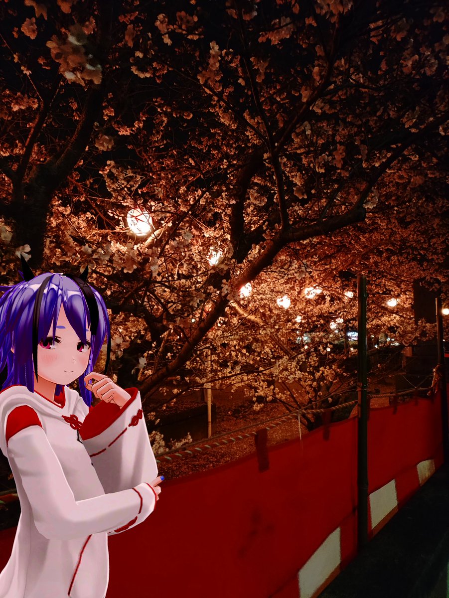 釜戸庭（かどにわ） tweet media