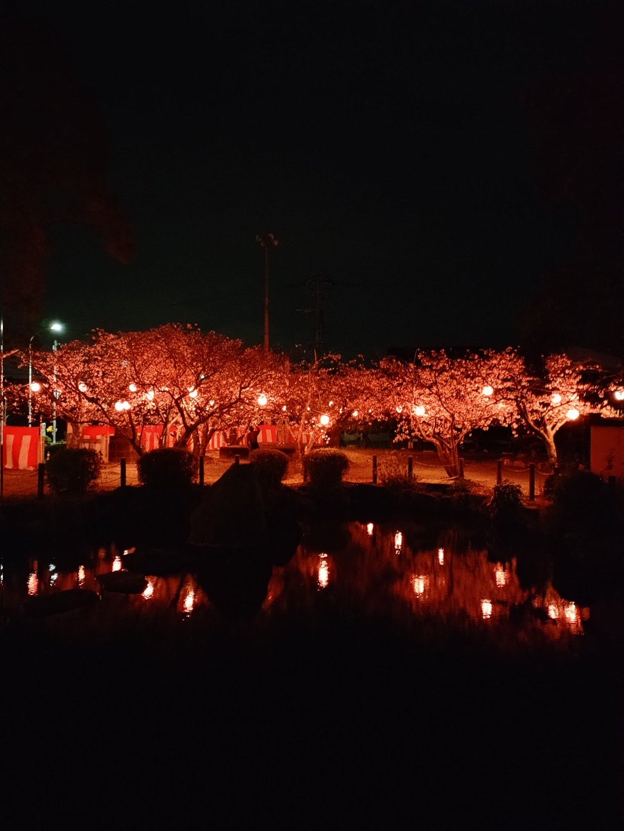 釜戸庭（かどにわ） tweet media