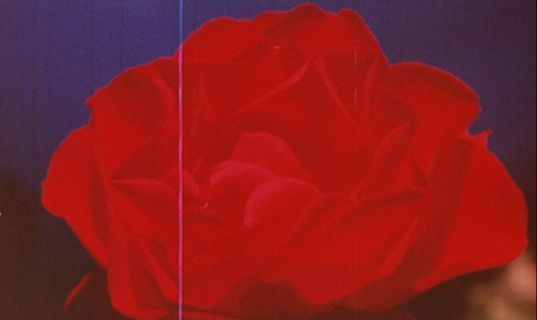 ๐๐ข๐ง๐๐ฆ๐ ๐๐ง๐ ๐๐ข๐ฌ๐๐๐ฆ๐๐๐ง๐จ๐ซ๐ฌ tweet media