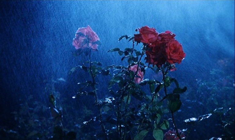 ๐๐ข๐ง๐๐ฆ๐ ๐๐ง๐ ๐๐ข๐ฌ๐๐๐ฆ๐๐๐ง๐จ๐ซ๐ฌ tweet media