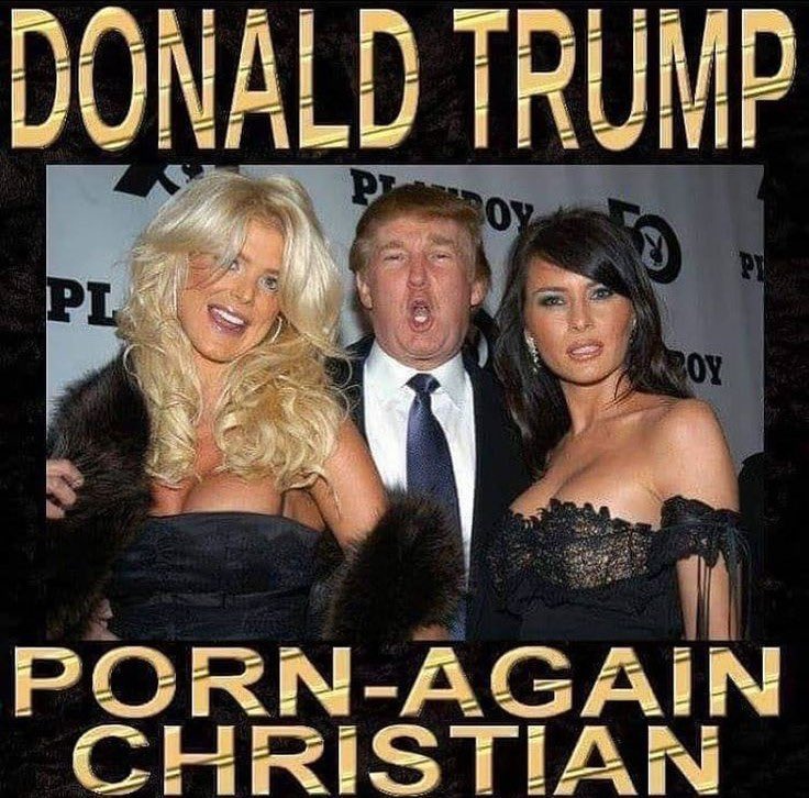 Meme Guy 🐕🏳️‍🌈 tweet media