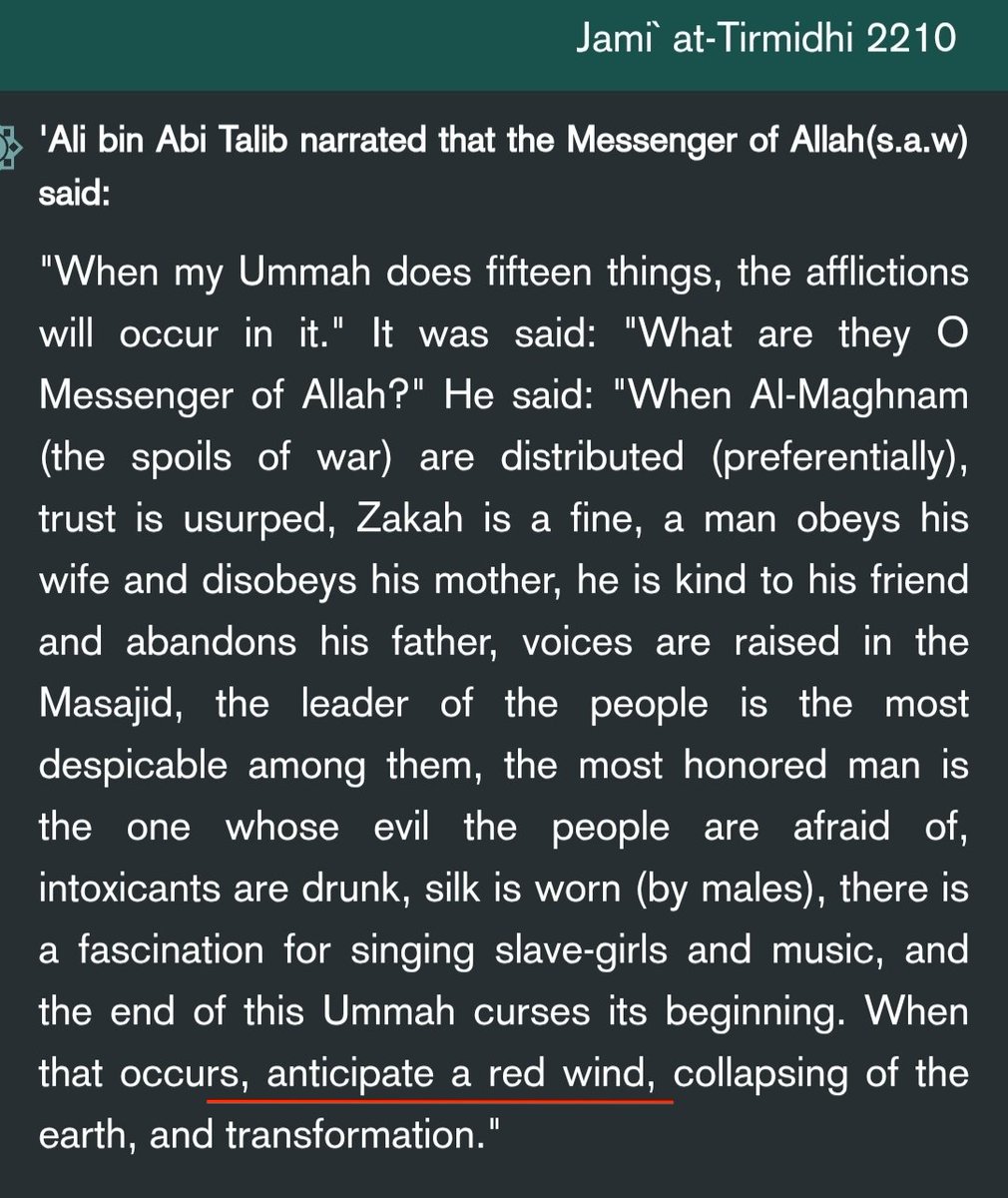 Md Sakib tweet media