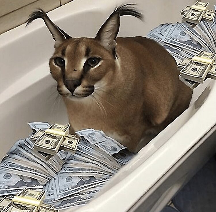 feelthruwords's tweet photo. Giving 5$ $SOL to someone in the next 60 minutes that RTs &amp; drops their addy 👇🏼 https://t.co/or4YC0qqFP