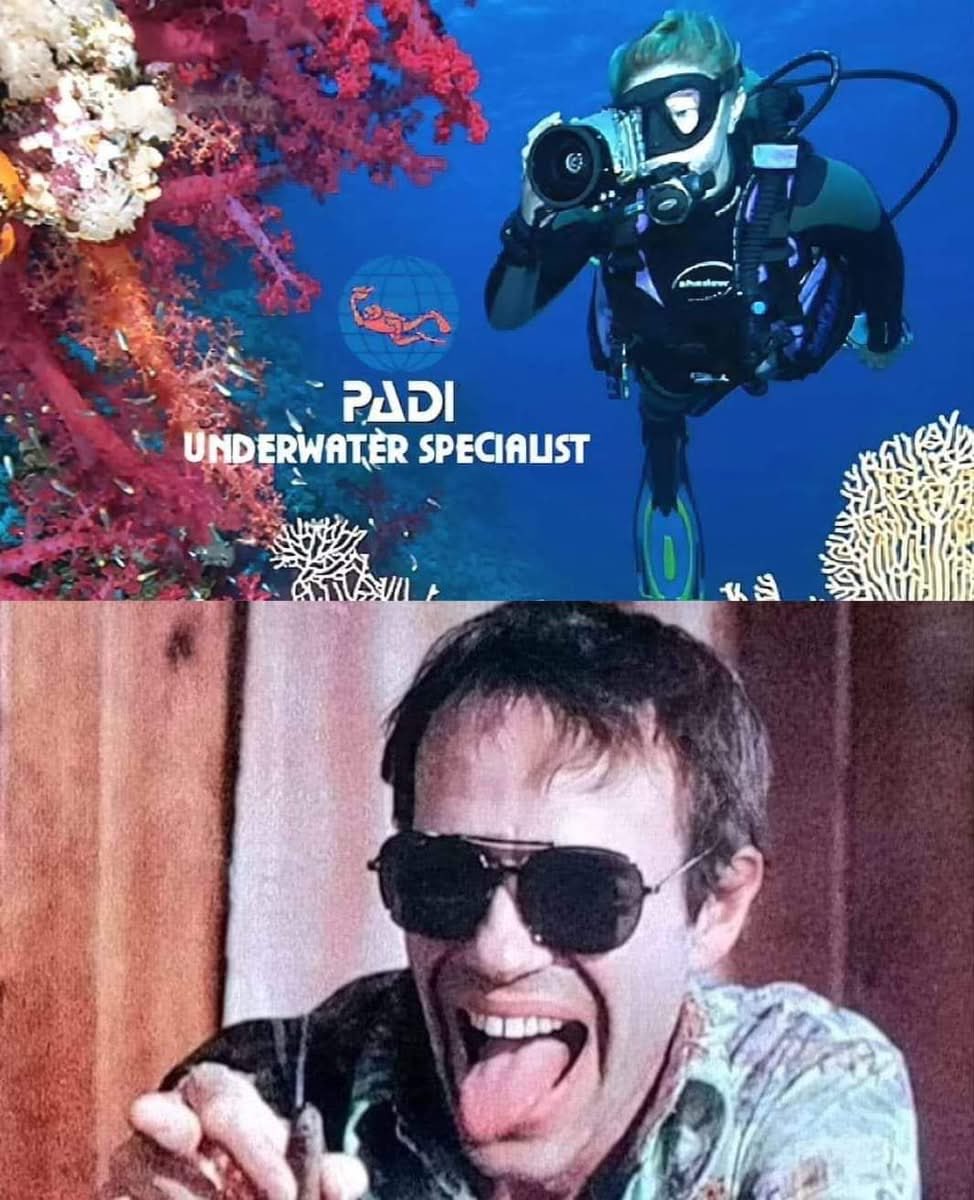 When you look at this picture, can you hear “ underwater specialist”