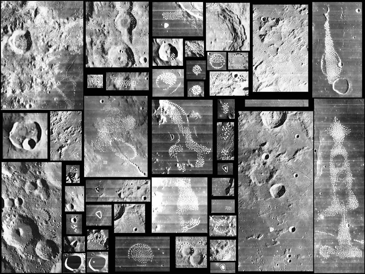 UFO mania tweet media