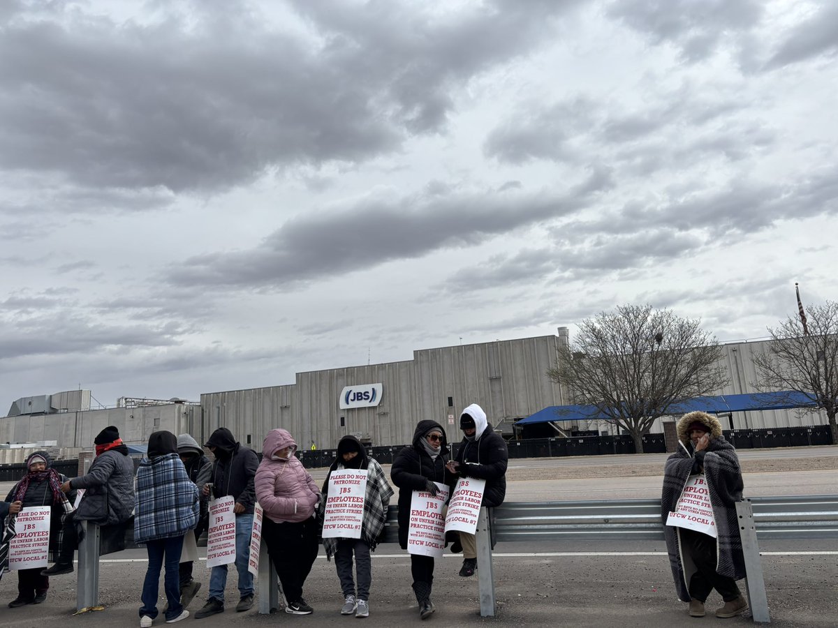 straw hat sal she/her tweet media