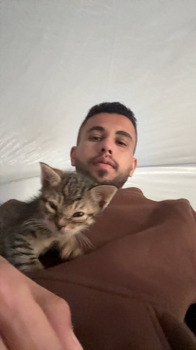 MOHAMMED𓂆 tweet media