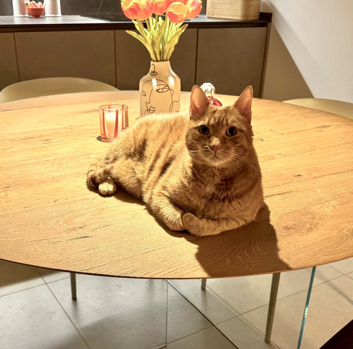 Rudi De Fanti tweet media