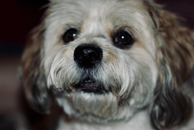 Roger Flores tweet media