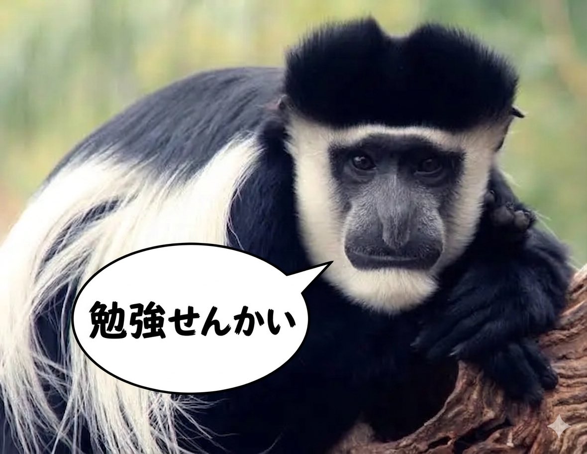 bohraku's tweet photo. 個人的にアビしばより、アビシニアコロブスにサボり指摘されたい。 https://t.co/QkrI0eXh6W