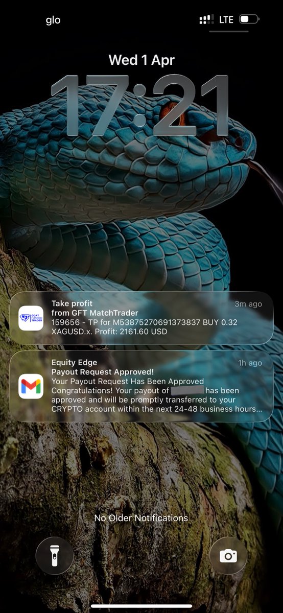 Forex Tv tweet media