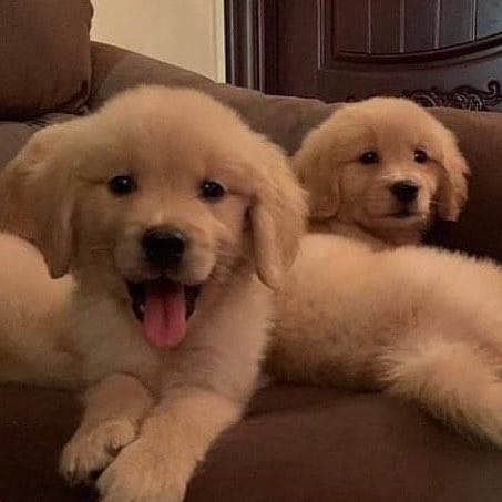 plawdoyy* tweet media