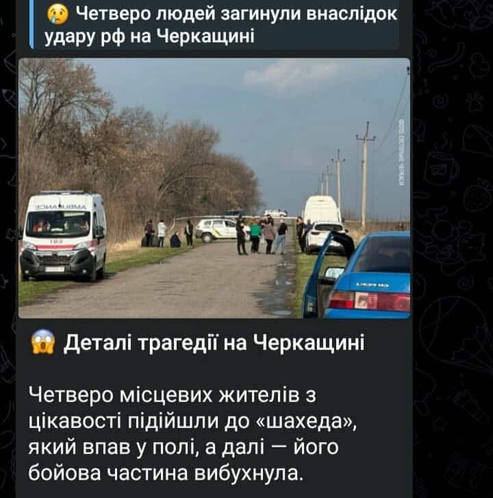 Весняний Гусь 🪿 tweet media