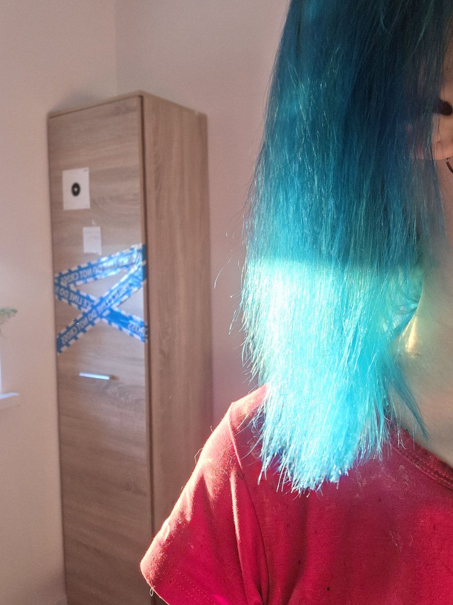 Sparrow にこ tweet media