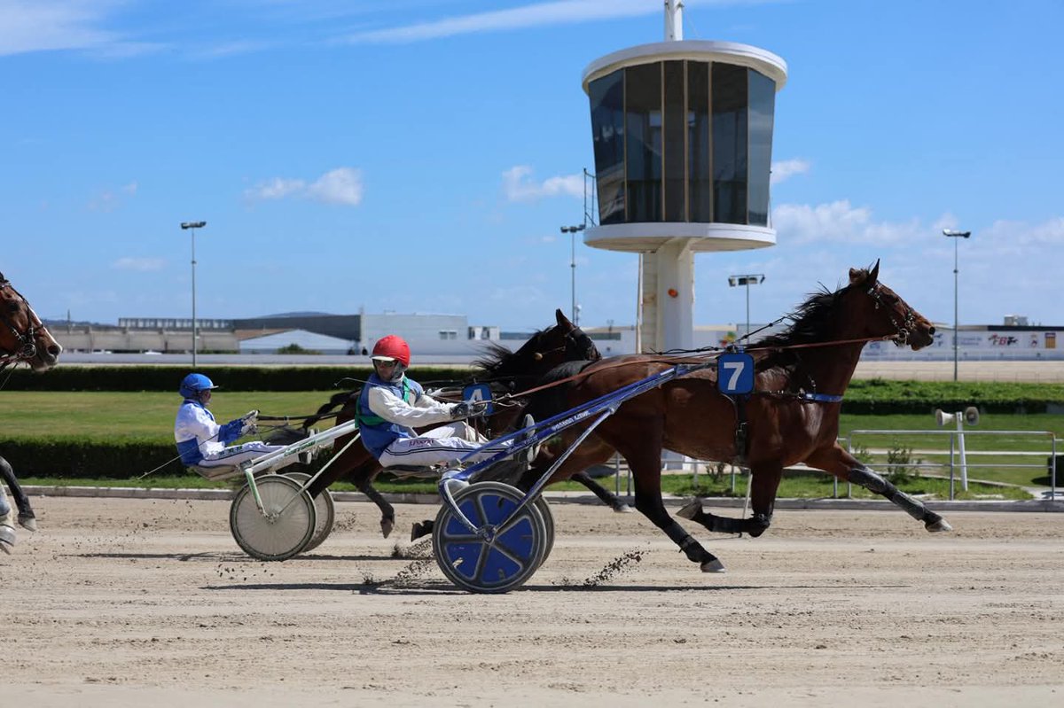 Pedro Bestard Martínez tweet media