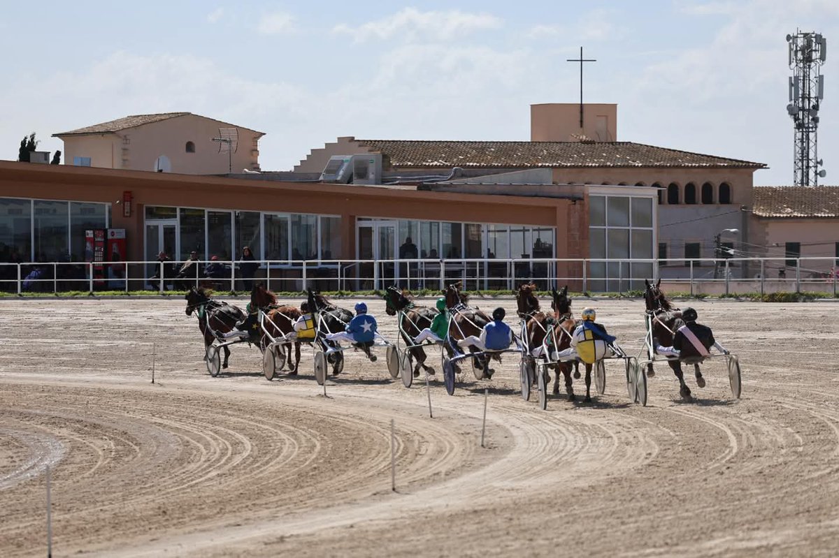 Pedro Bestard Martínez tweet media