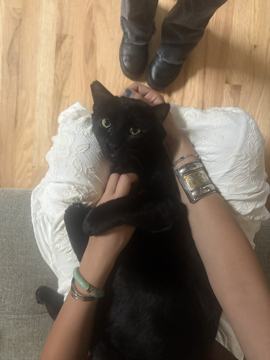 bella☁︎ tweet media