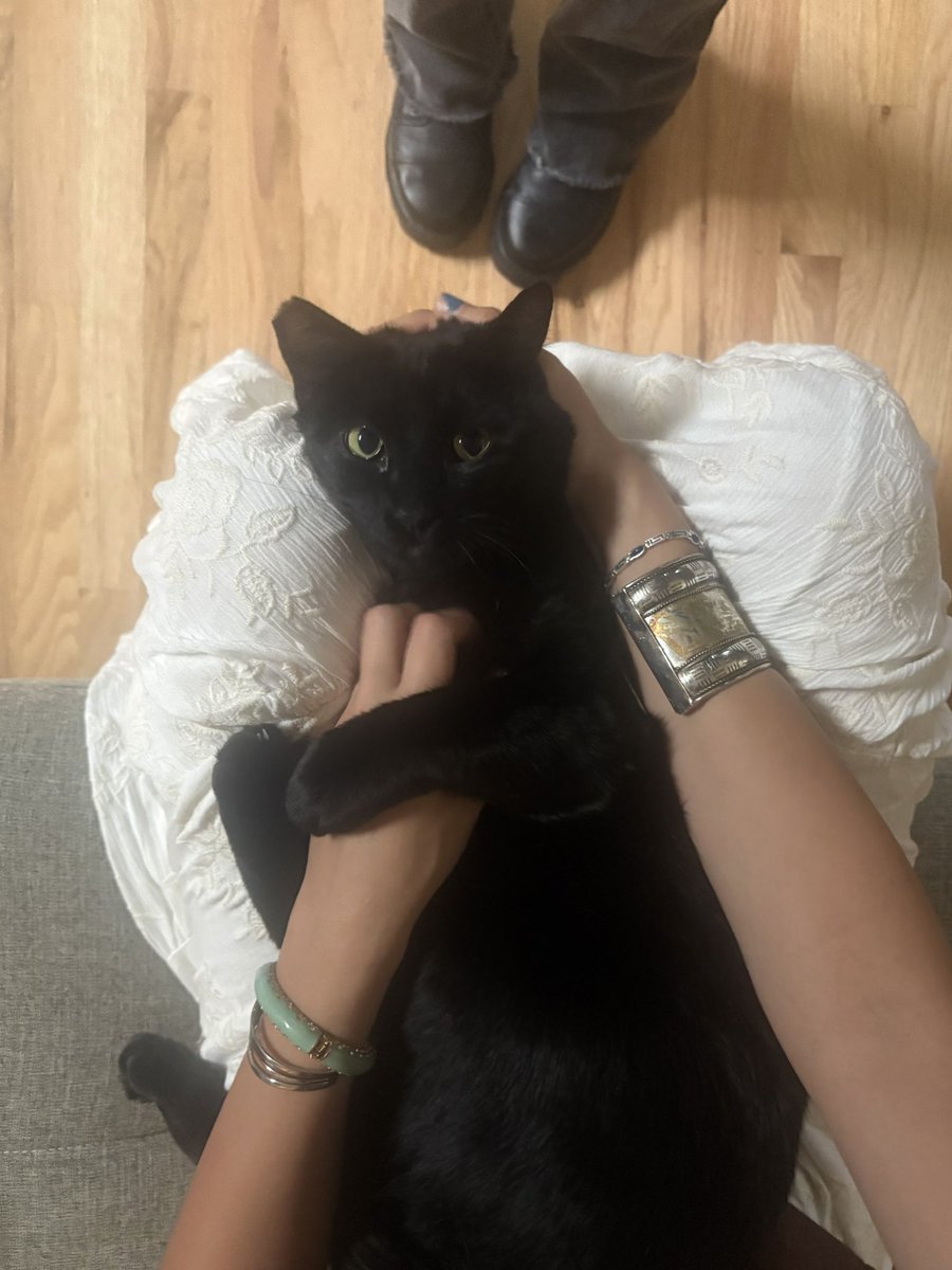 bella☁︎ tweet media