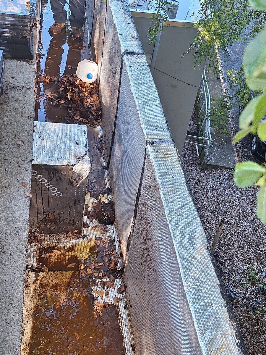 Trabajar éste techo sin harnes ni línea segura es algo que osha permite?? Con razón se mata la gente. <a href="/Seg_Ocupacional/">Seguridad Ocupacional OSHA</a>