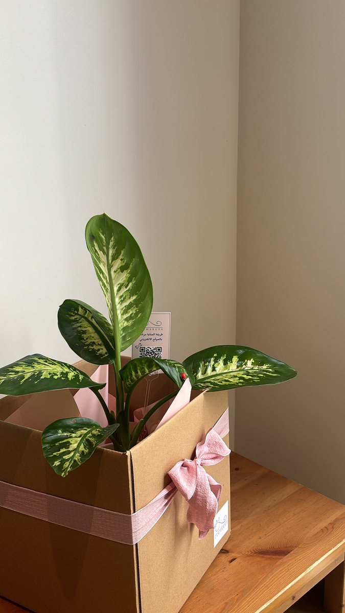 lamar👩🏻‍💻🌱 tweet media