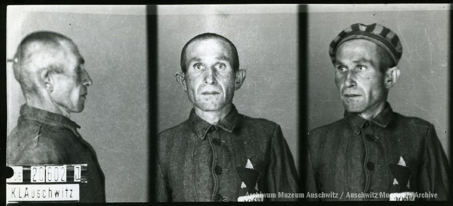 Auschwitz Memorial tweet media