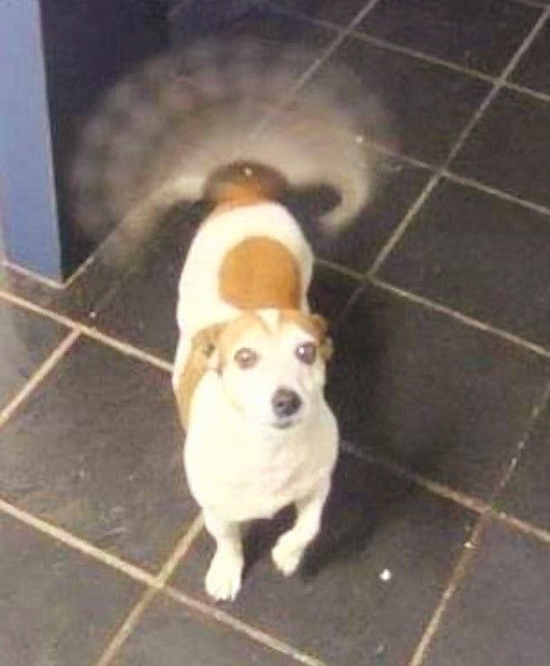 뿌누 ੈ bubu nu tweet media