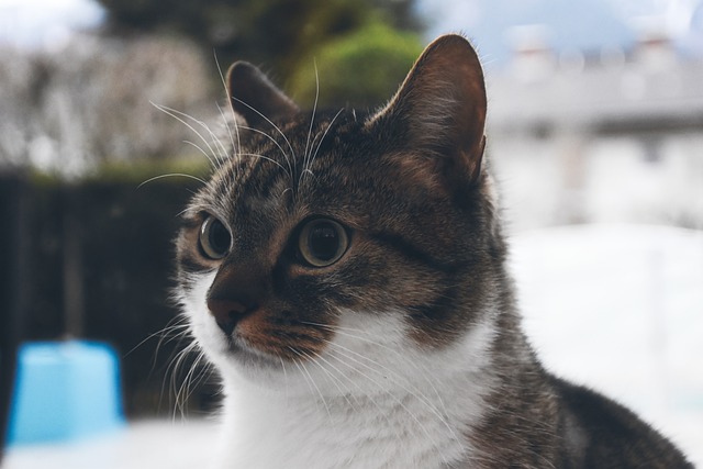 Beastman Luck tweet media