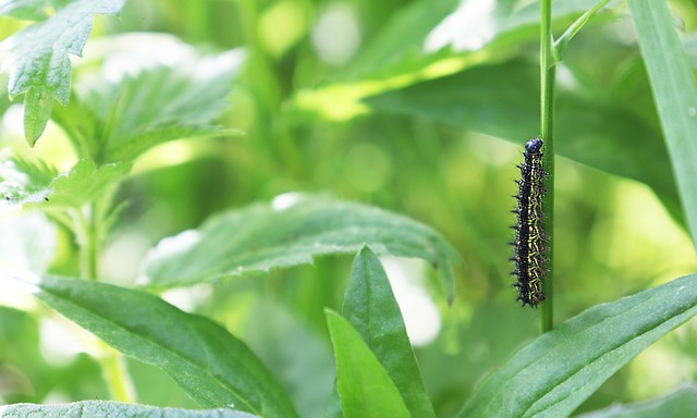 James Miles tweet media