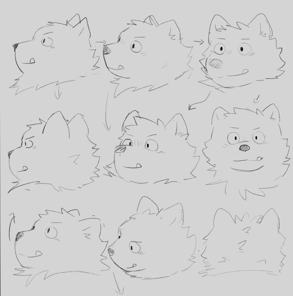 애옹부 tweet media