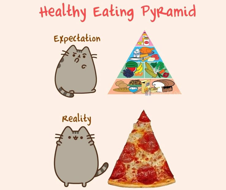 Pusheen parody account tweet media