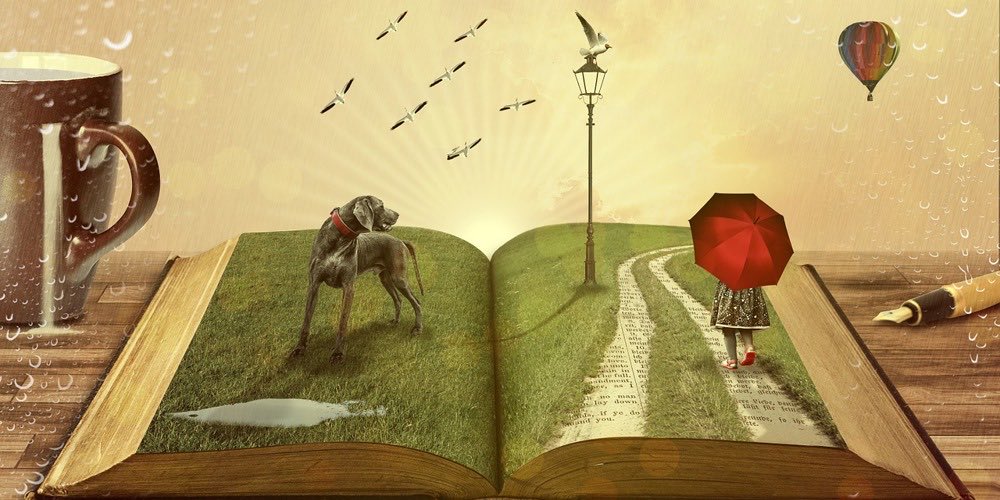 East Ayrshire Libraries tweet media