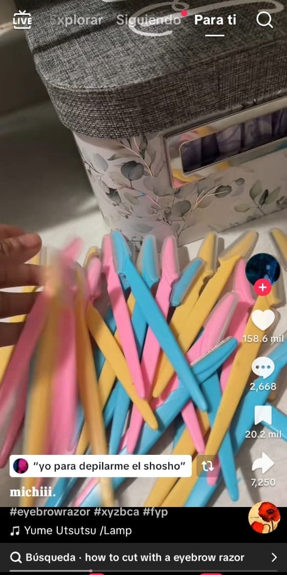 gigi de kiki 𓏲ּ𝄢 || vladimir devolveme la plata tweet media